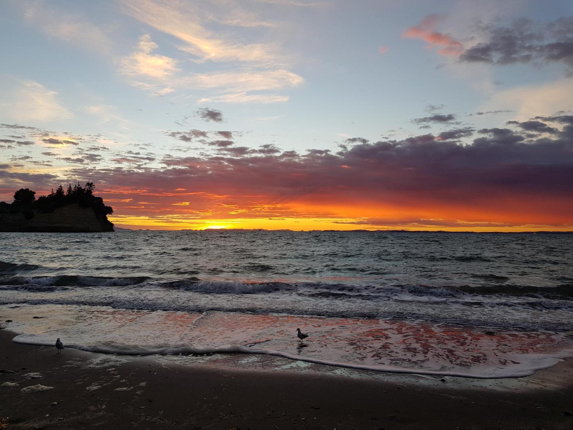Whangaparaoa Lodge Zewnętrze zdjęcie