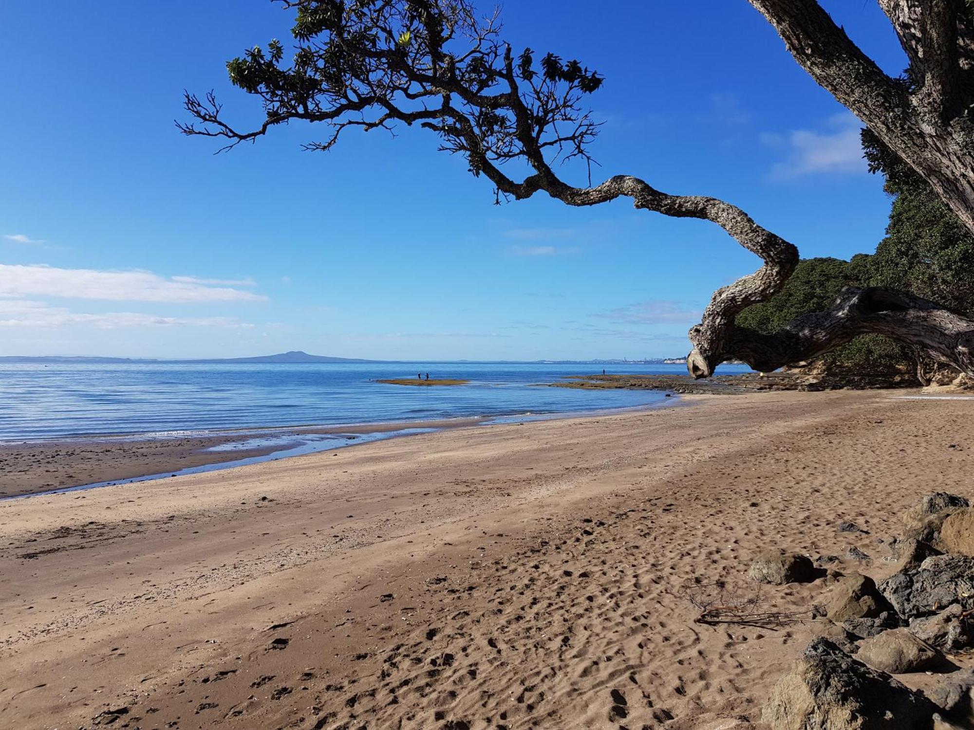 Whangaparaoa Lodge Zewnętrze zdjęcie